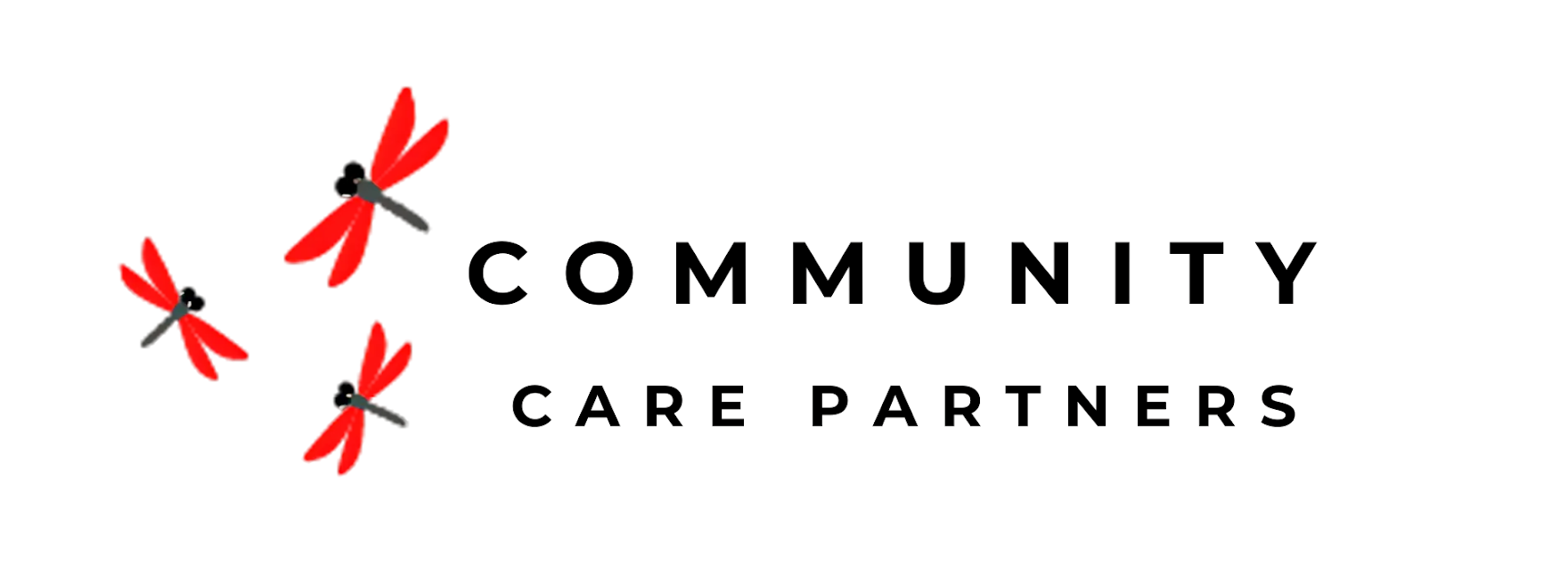 Ryan Rogowski Site